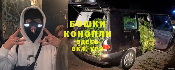 первитин Заводоуковск